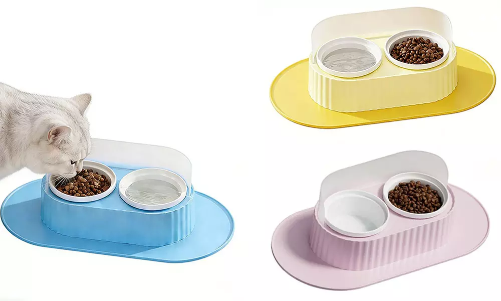 Ceramic Double Pet Bowl Set with Elevated Stand and Non-Slip Mat 350ml