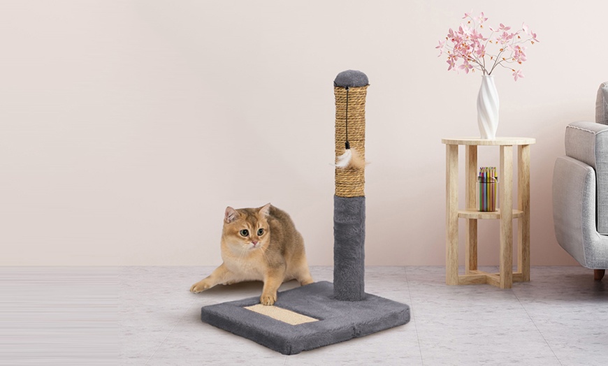Image 55: Griffoir pour chat