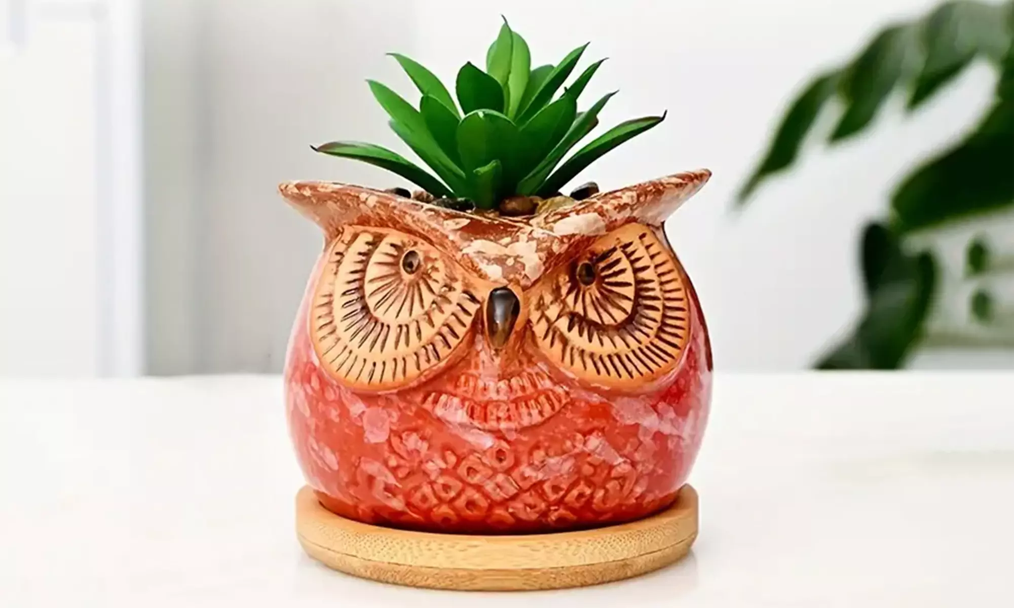 3er- oder 6er-Set Keramiktopf im Eulen Design