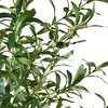 Image 7: Plante artificielle décorative olivier