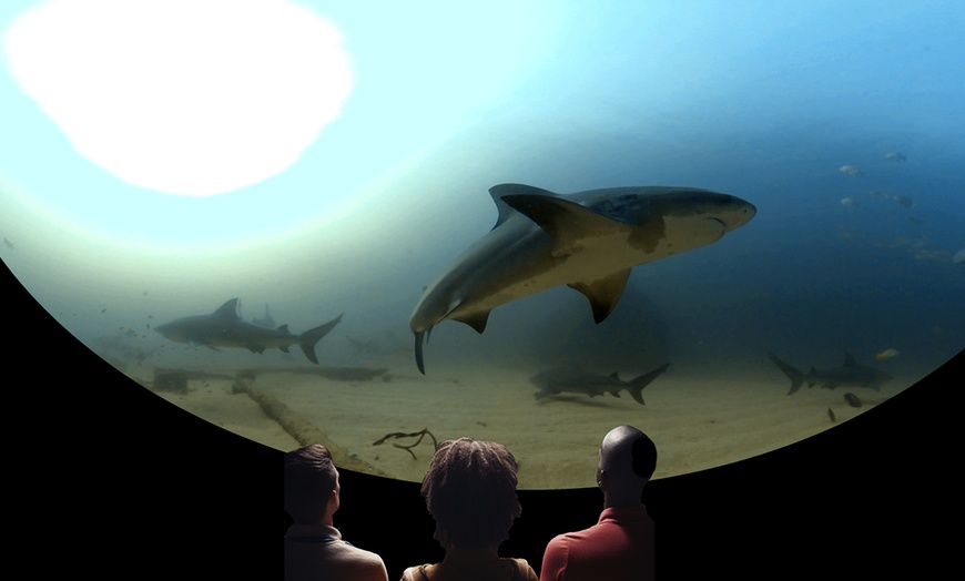Image 1: Experience Ocean Wonders in 360° Movie with Up To Eight Tickets