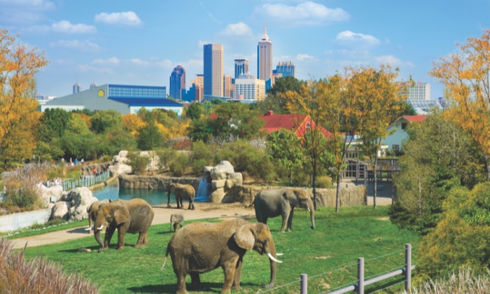 Three-Day Attraction Pass from Visit Indy