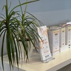 Image 5: Experience Smooth Skin with 1, 3, or 5 Microdermabrasion Treatments