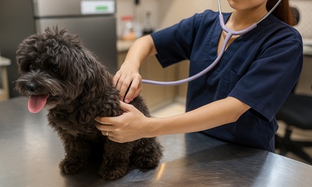 Pre Check up + Deworming Cat / Dog (0 - 10 kg)