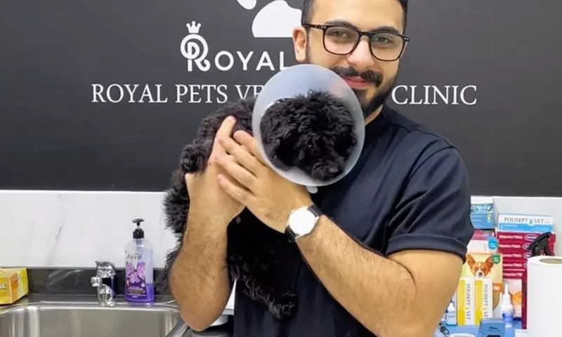 Dog / Cat Medical Check Up w/ Optional Deworming or Annual Vaccination