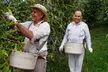Deluxe Coffee Farm Tour w/ Tasting Experience at Buddha's Cup Kona Coffee and Tea Farm - Second Medium