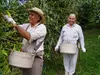 Discover Nature with Buddha Kona Coffee Tour (Up to 30% Off)