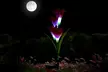 2-8Pcs Lily Flower Solar LED Stake Lamp Lights for Garden, Patio, or Backyard - Second Medium