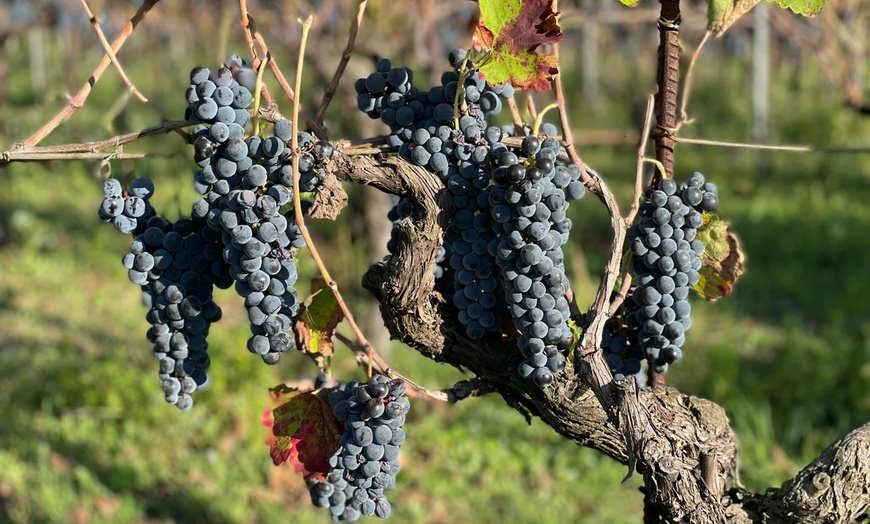 Image 12: ✈ Italian Dream Roadtrip: Naples, Campania & Amalfi Coast from Worldee