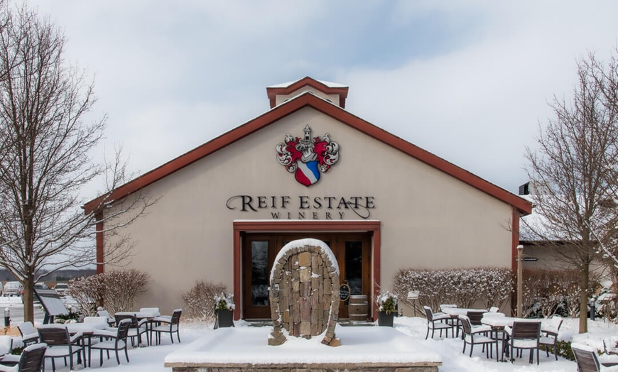 Image 6: Full Day Niagara Wine Tour with Transportation for Up To Four People