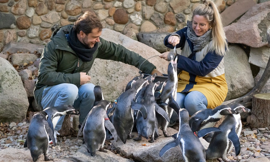 Image 7: Saisonkarte Gold Weltvogelpark Walsrode