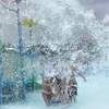 Image 6: All-Day Admission for 1, 2 or 4 -13 Acres of Thrills and Family Fun
