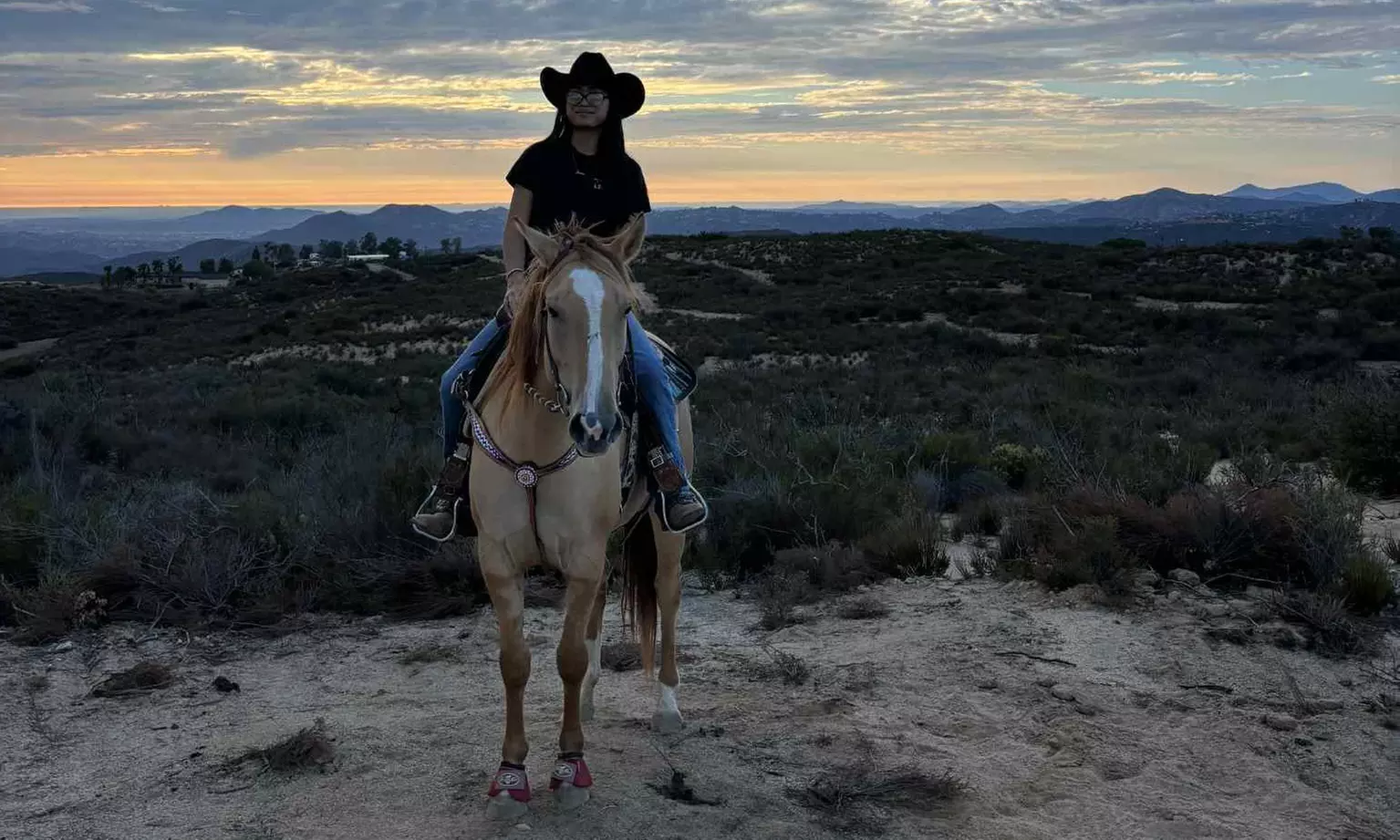 Private, Group, And 8-Week Horseback Riding Lessons For All Levels