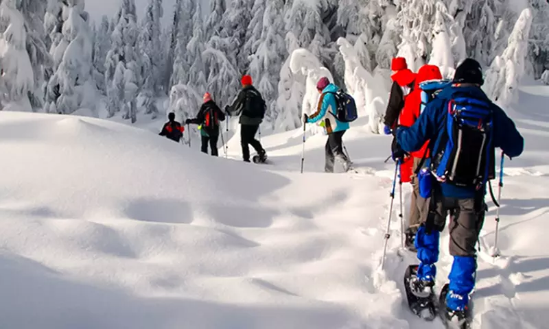 Excursión con raquetas por la nieve de 3 h para 1 o 2 personas
