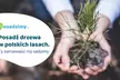 Posadzenie 5 drzew z certyfikatem za 39,99 zł i więcej z serwisem Posadzimy.pl - Image 3