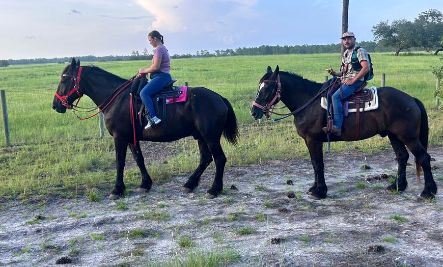 Image 2: Guided Trail Rides Through Florida's Scenic Countryside