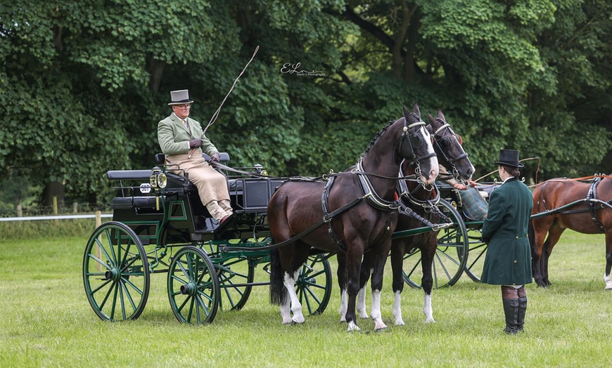 Image 2: Durham County Show 2025 at Thornley Hall Farm | July 5 and 6, 2025