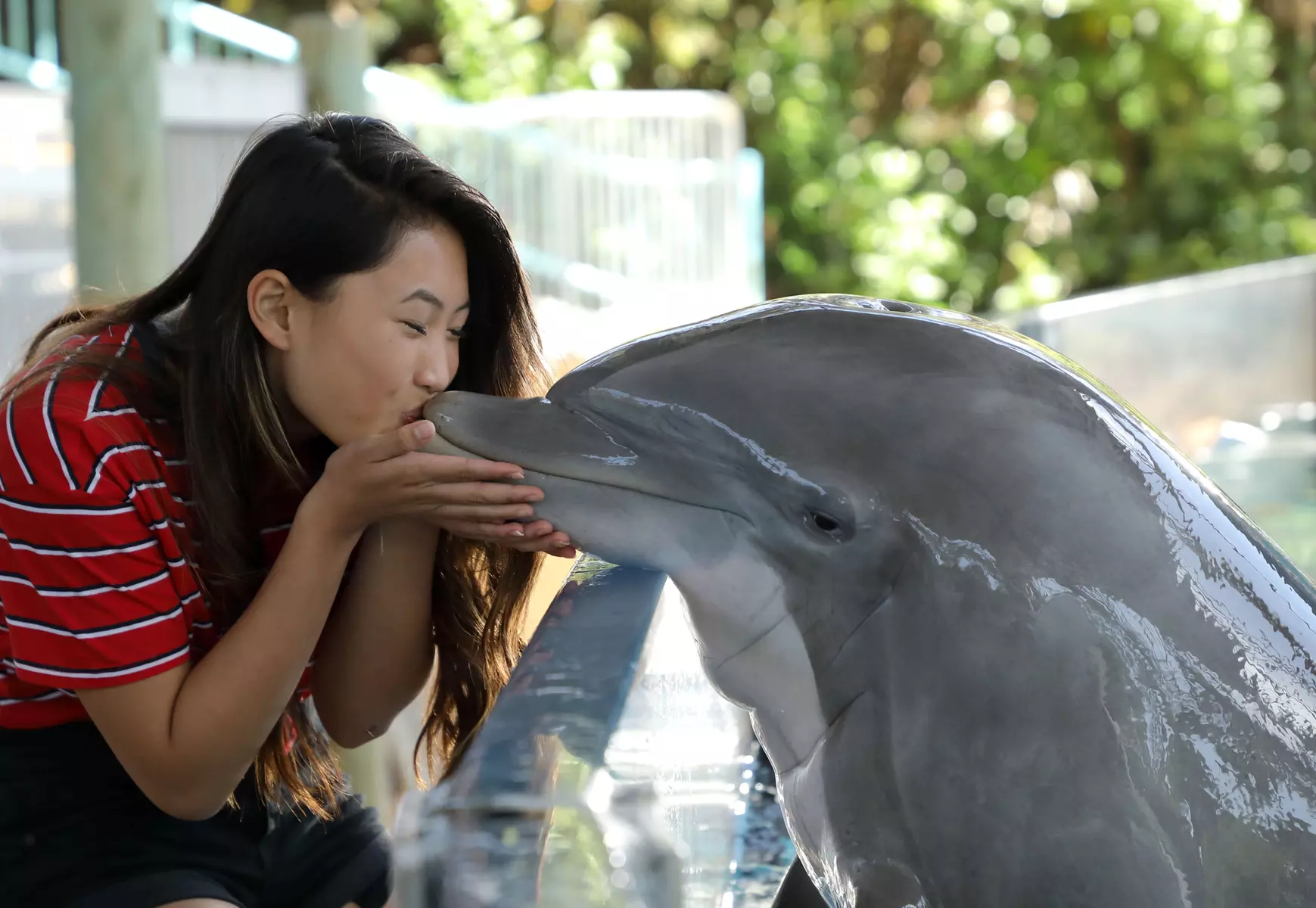 Things to do in Grass Valley for Kids & Families - Groupon