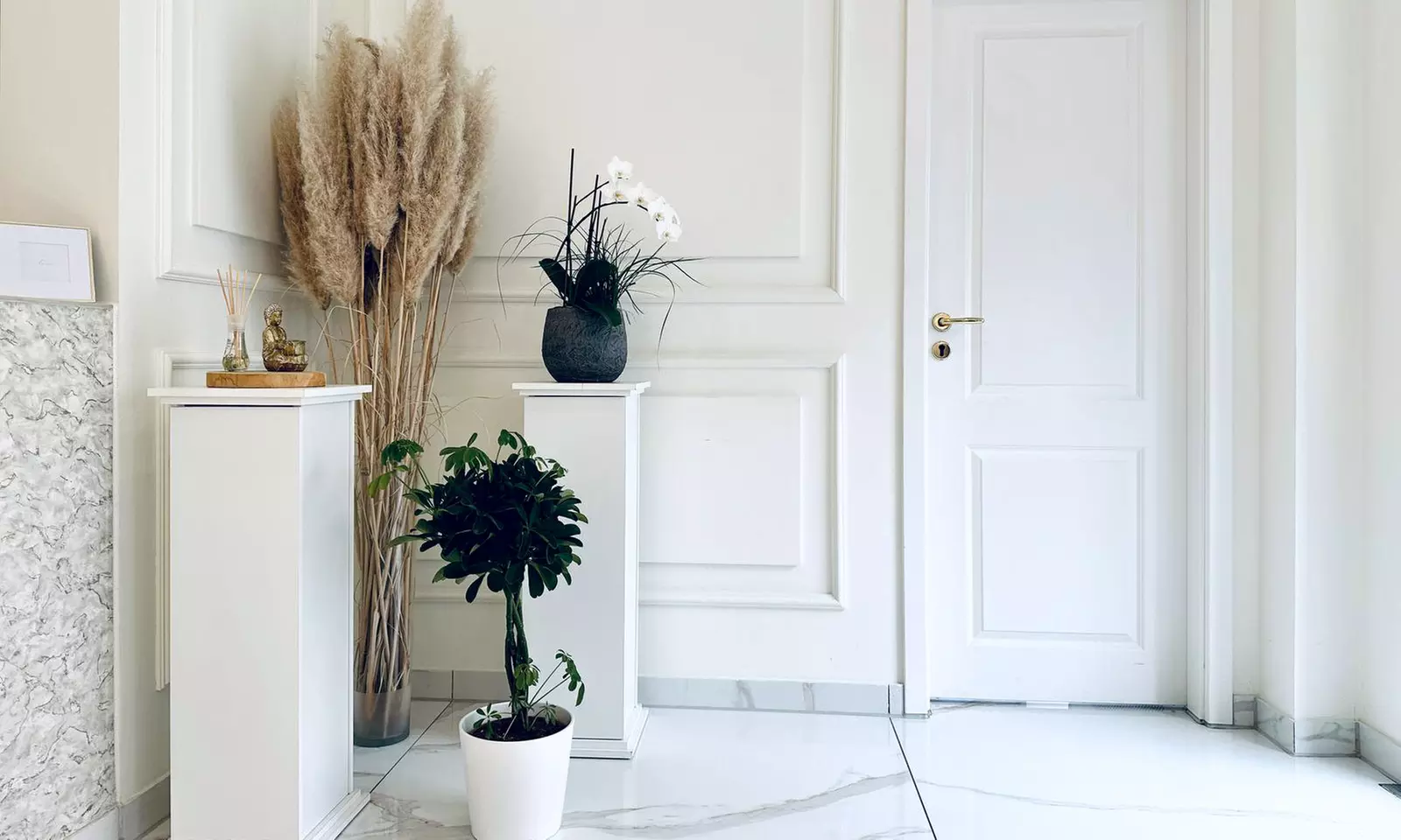 Bye-bye Cellulite & Fett: Straffere Haut in nur wenigen Sitzungen!