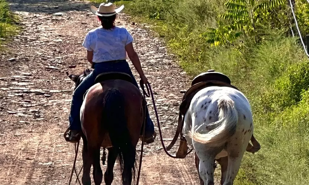 Horseback Riding Adventures on Scenic Trails