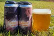 Get $25 / $50 Drinking Credit or Steampunk Flight & Pint Experience w/ Dirigible Brewing Company - Second Medium