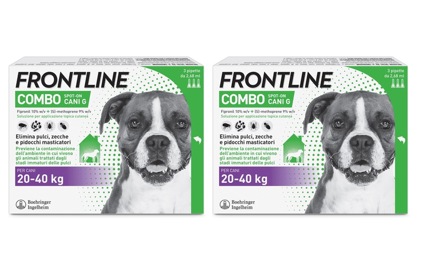 Image 11: Fino a 9 pipette Frontline Combo Spot-On per cani