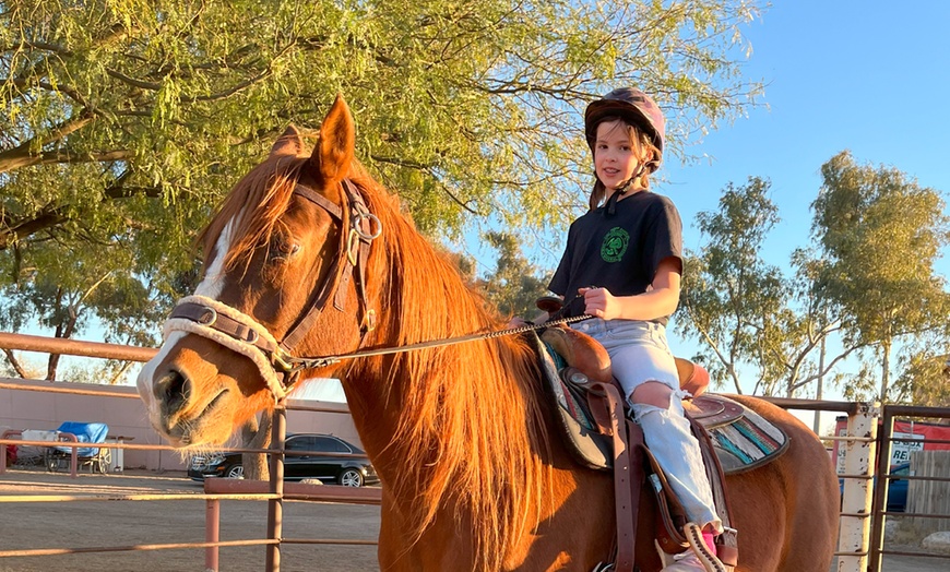Image 1: One Hour Horse Riding For One Person w/ Lesson or Summer Horse Camp