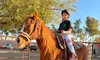 Join with One Hour Horse Riding For One Person w/ Lesson or Summer Horse Camp @Summer Horse Camp  (Up to 23%Off)