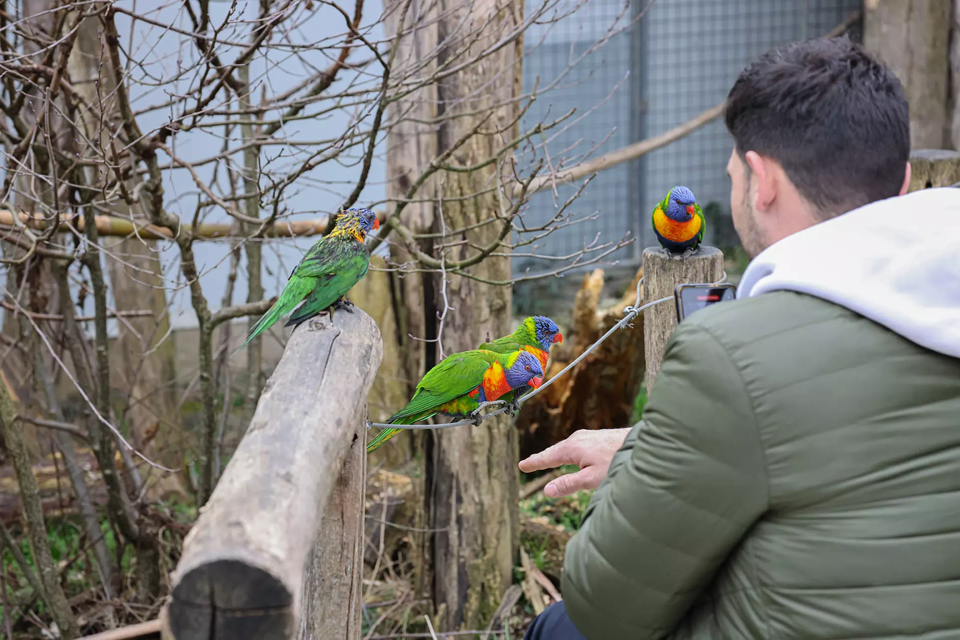 Safari animalier près de Paris avec accès Terre de Singes