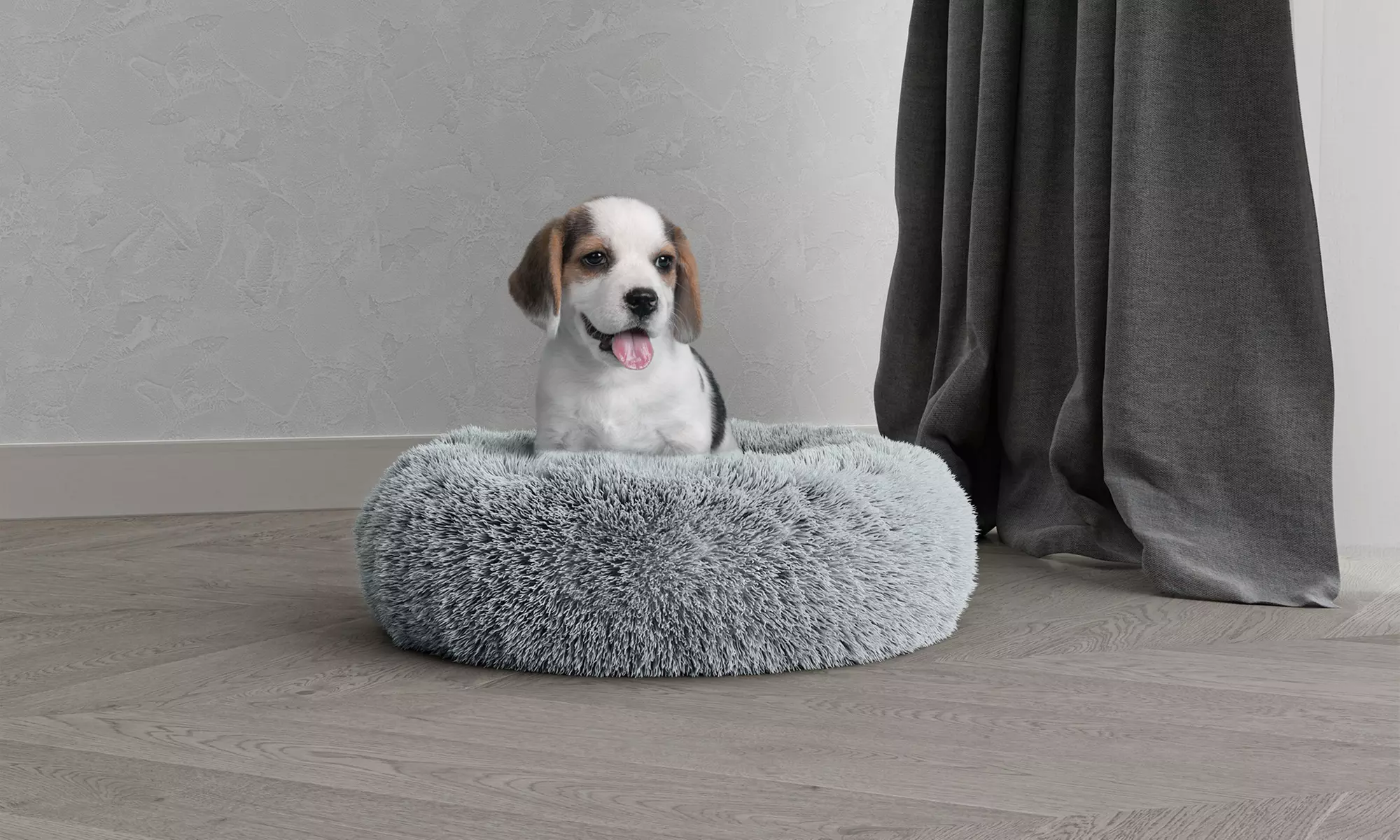 Rundes Haustierbett „DREAMS“ mit erhöhtem Rand