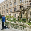 Image 4: Explore the Natural History Museum - Adult & Child Tours!