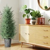 Image 4: Set of Two HomCom Artificial Cypress Trees 