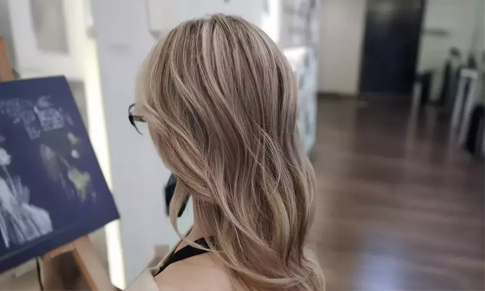 Elevate Your Look with Blowout, Partial Highlight, Style, & More