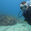 Image 6: Descubre el fondo marino con un bautismo de buceo para 1 o 2 personas