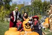 Stay at LEGOLAND New York Hotel: Where Every Room Is a LEGO Adventure! - Second Medium