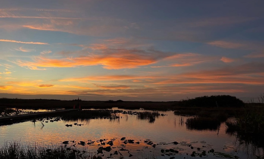 Image 1: Everglades Airboat Tour & Cultural Experience