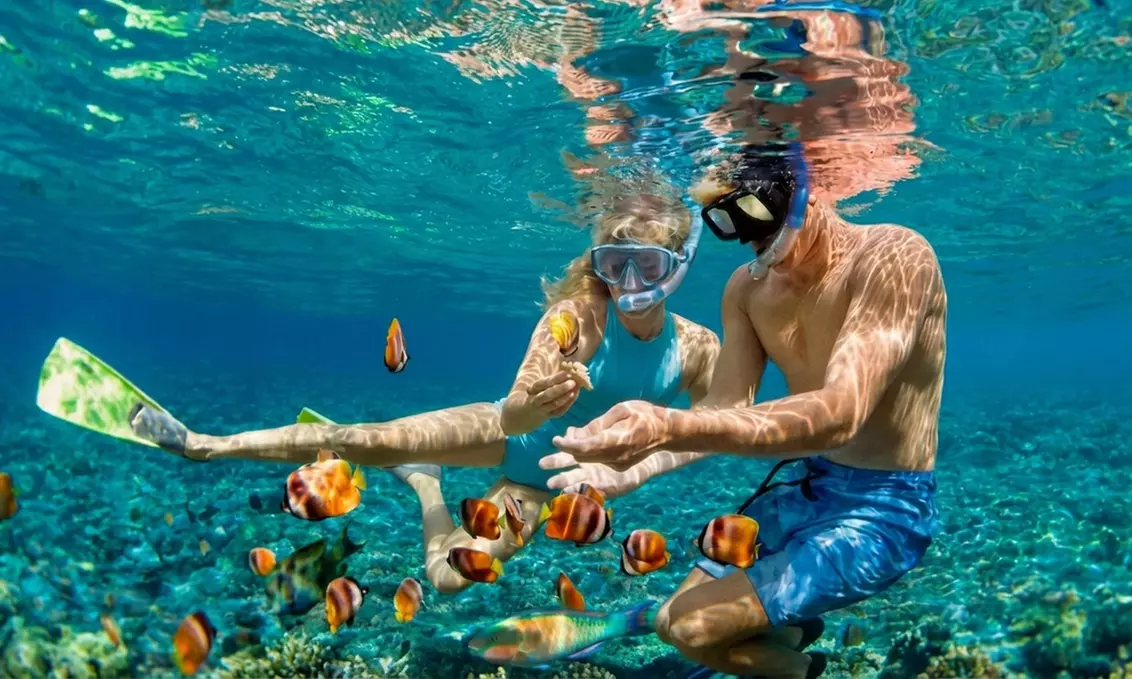 Excursión guiada en kayak a elegir con fotos y opción a snorkel para 1