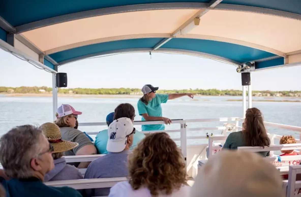 90-Minute Hilton Head Island Dolphin Tour for Adult, Child & Infant