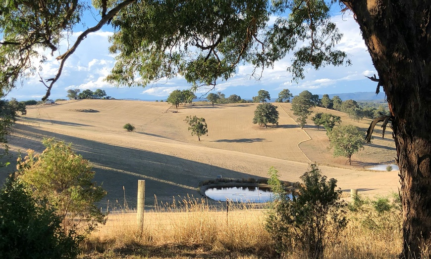 Image 6: Melbourne Stay & Taste of Yarra Valley: 3 Nights w/ Wine & Whisky Tour