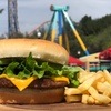 Image 21: EXCLUSIVE: Six Flags Magic Mountain - Up to 45% Off