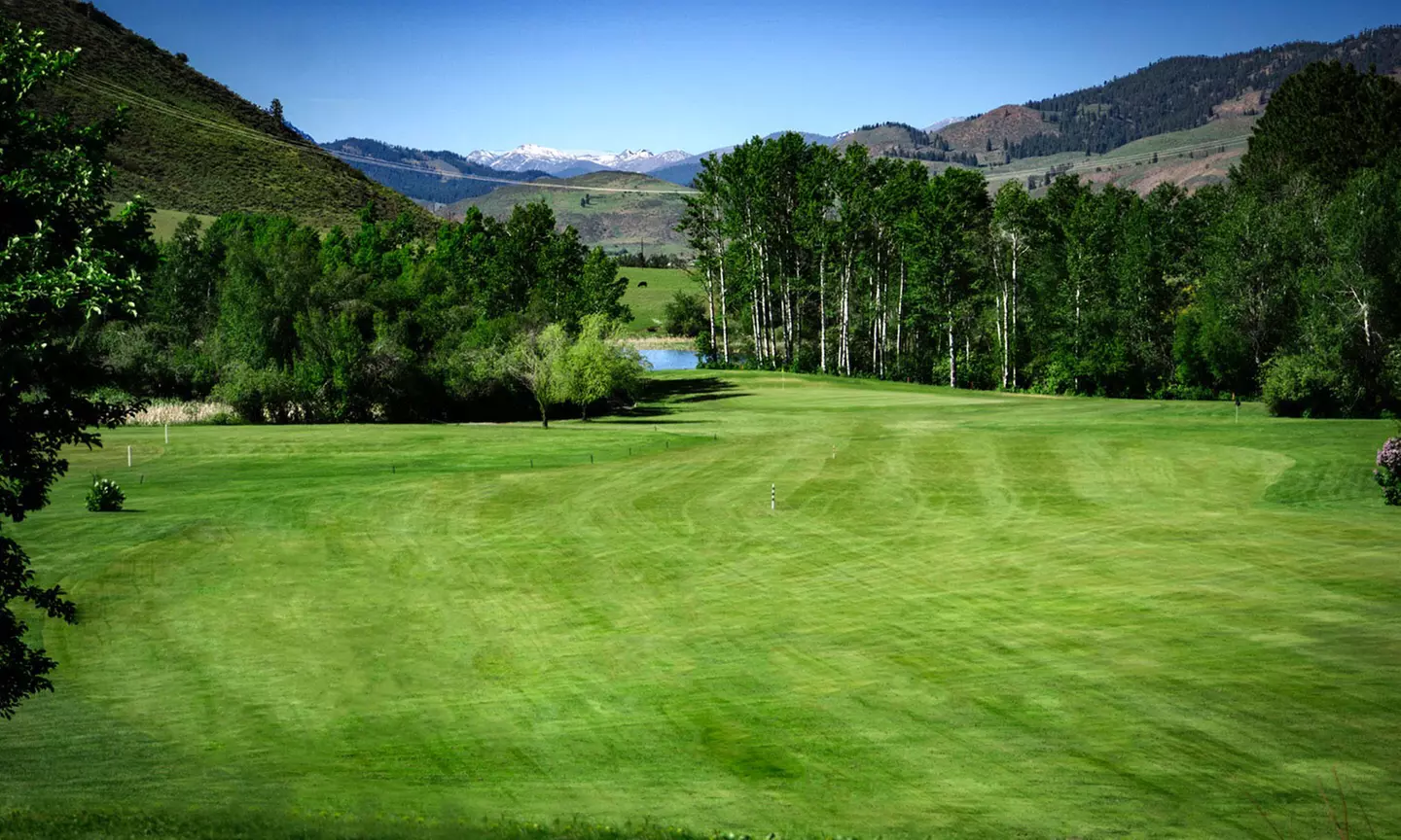 18 Holes of Golf and a Cart for One, Two, or Four at Bear Creek Golf Course (Up to 48% Off) - Primary Image