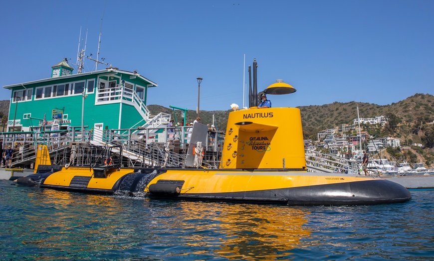 Image 5: Nautilus Semi-Submarine Tours—Fun for Kids, Adults & Seniors!
