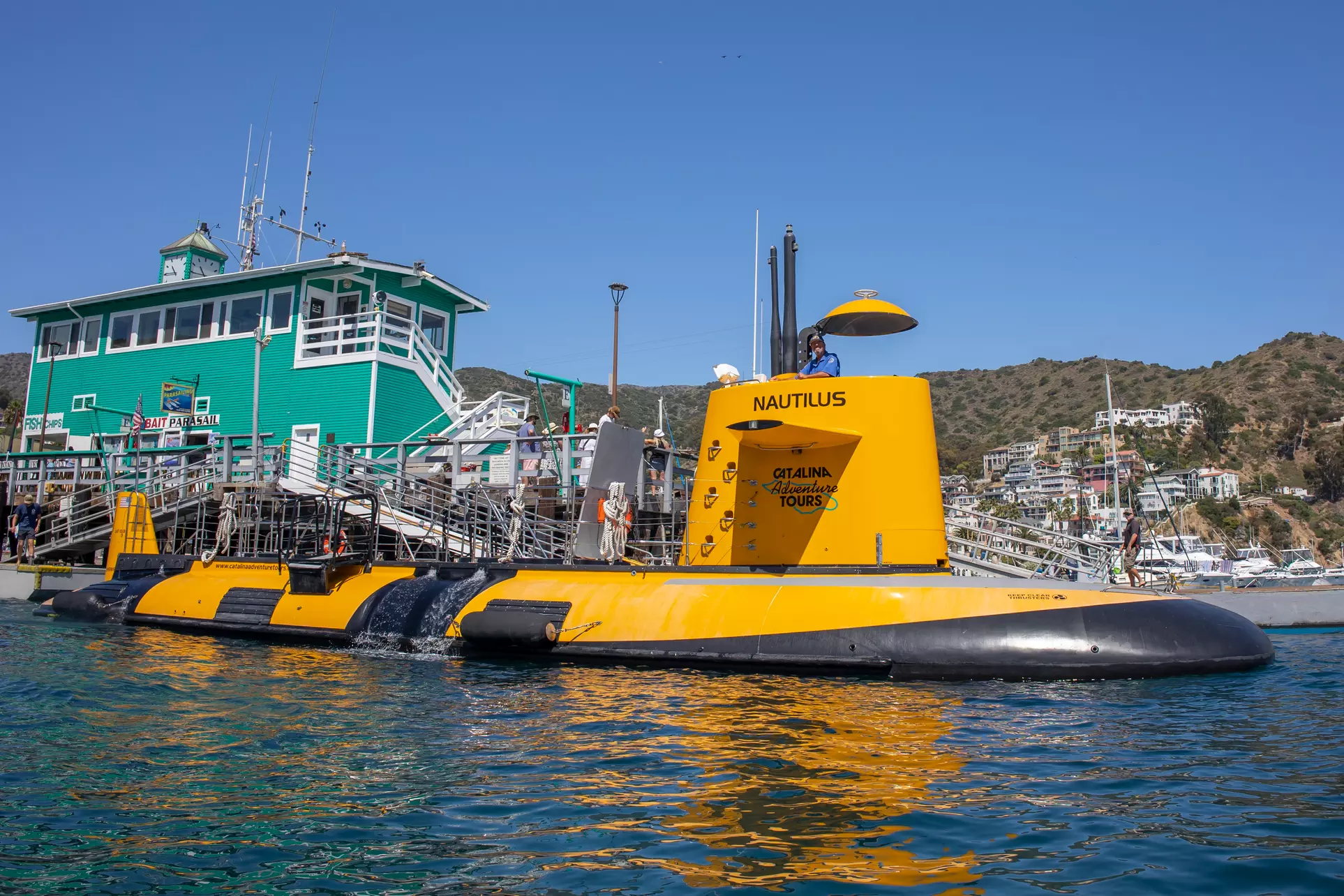 Nautilus Semi-Submarine Tours—Fun for Kids, Adults & Seniors!
