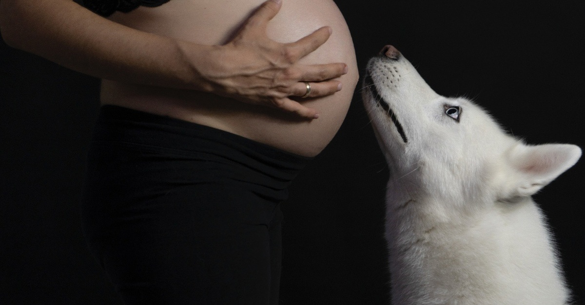 Sesión de fotografía en estudio en Granada