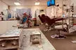 Perfect Brows with Brow Lamination with or without Threading or Waxing At Silky Beauty Salon Up to  50% Off - Second Medium