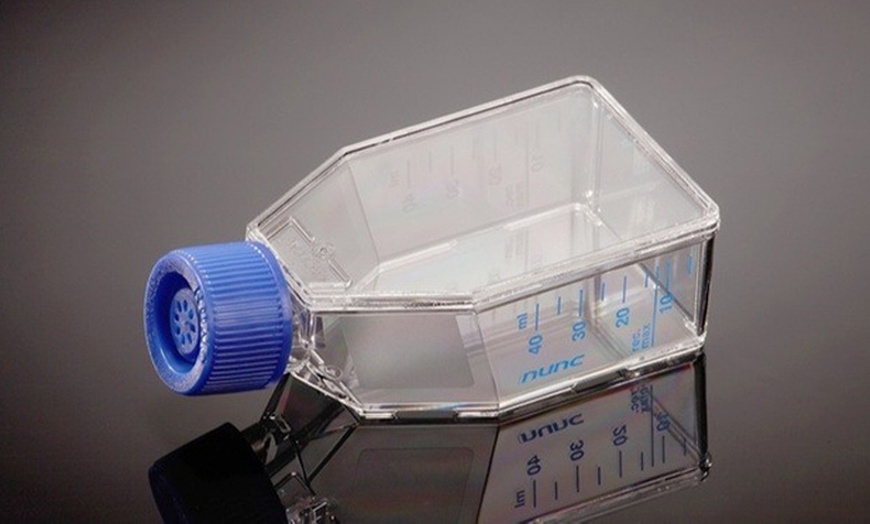 Image 3: Zostań mistrzem aparatu: kursy fotografii produktowej i na modelach