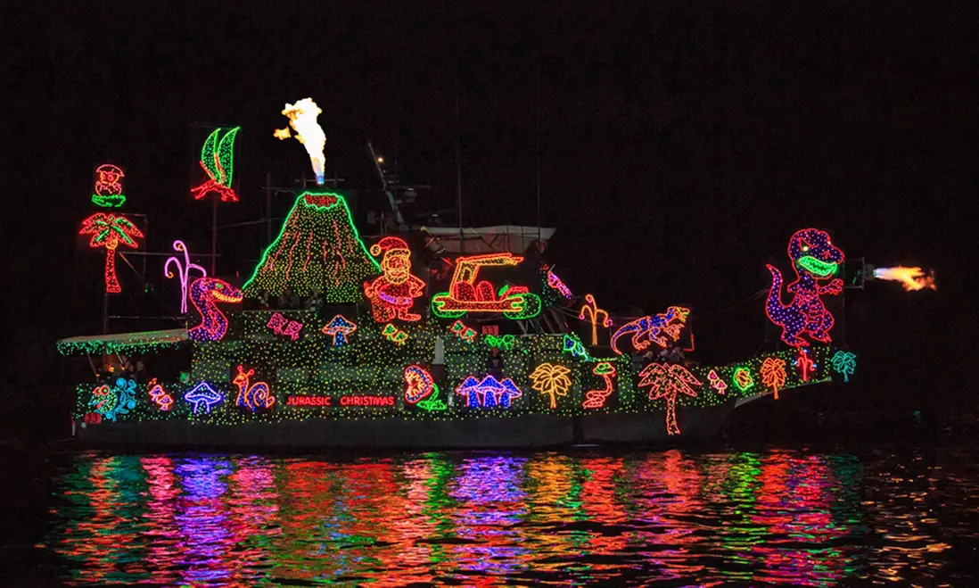 Junior or Adults Holiday Lights Cruise Ticket