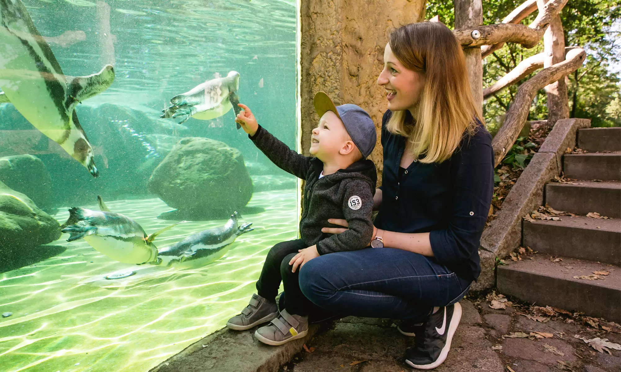Tageskarte für 1 Erwachsenen im Zoo Dresden im Januar oder Februar '26