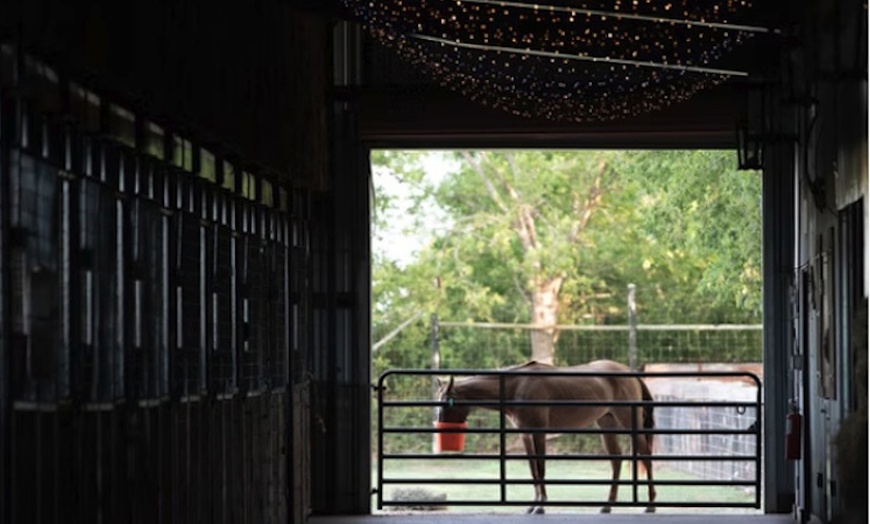 Image 1: Up to 29% Off on Horse Back Riding at Rockin’ Star Ranch