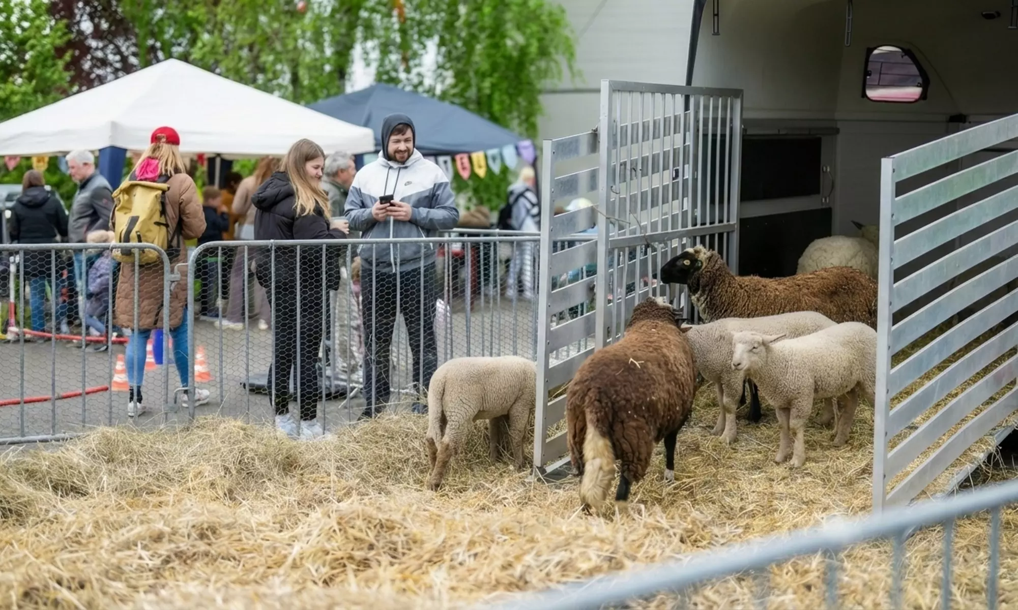 Live-Trabrennen am 03.04. – Flanier- oder Sitzplatz & opt. Osterbrunch